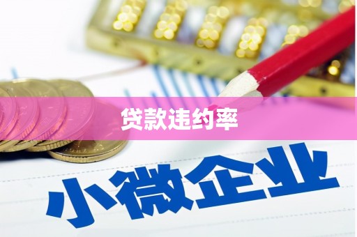 建邺贷款违约率