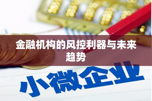 建邺金融机构的风控利器与未来趋势