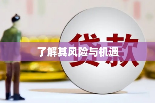 建邺了解其风险与机遇