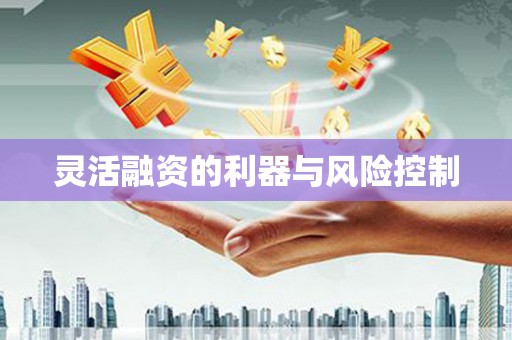 建邺灵活融资的利器与风险控制