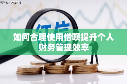 建邺如何合理使用借呗提升个人财务管理效率