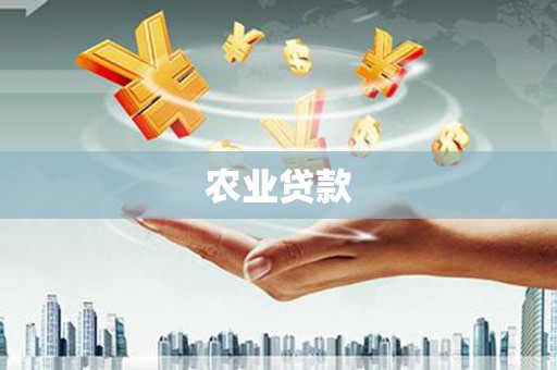 建邺农业贷款