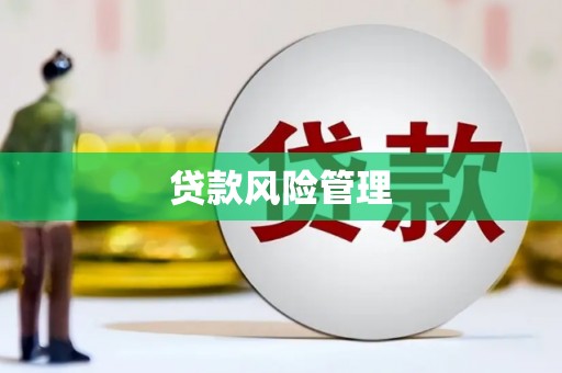 建邺贷款风险管理