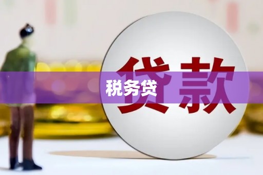 建邺税务贷