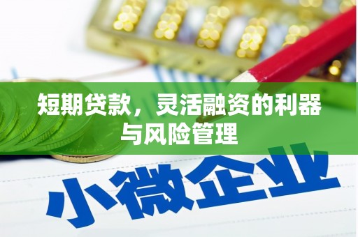 建邺短期贷款，灵活融资的利器与风险管理