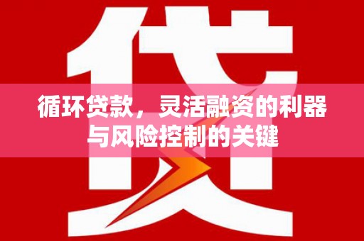 建邺循环贷款，灵活融资的利器与风险控制的关键