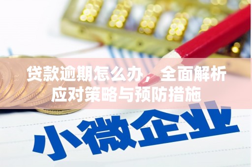 建邺贷款逾期怎么办，全面解析应对策略与预防措施