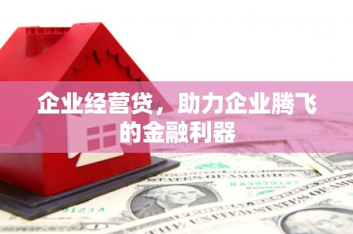 建邺企业经营贷，助力企业腾飞的金融利器