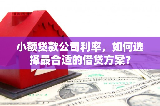 建邺小额贷款公司利率，如何选择最合适的借贷方案？