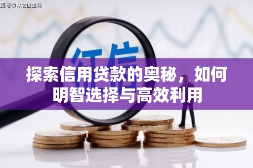 建邺探索信用贷款的奥秘，如何明智选择与高效利用