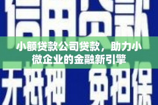 建邺小额贷款公司贷款，助力小微企业的金融新引擎