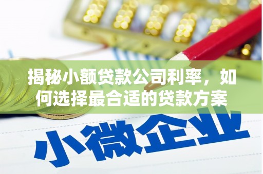 建邺揭秘小额贷款公司利率，如何选择最合适的贷款方案