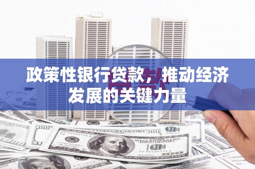 建邺政策性银行贷款，推动经济发展的关键力量