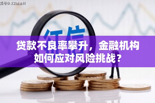 建邺贷款不良率攀升，金融机构如何应对风险挑战？