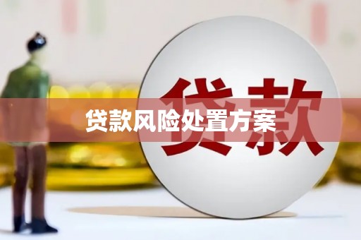 建邺贷款风险处置方案