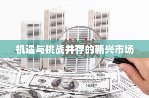 建邺机遇与挑战并存的新兴市场